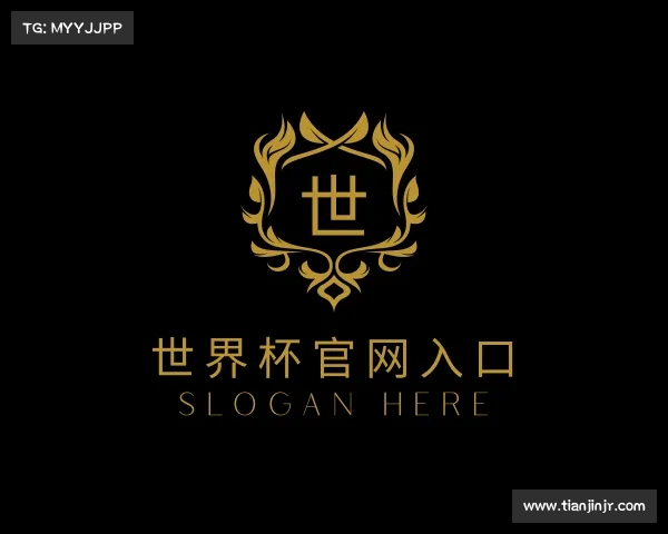 解读世界杯官网入口