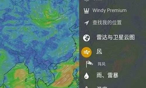 windy天气预报中文_windy 天气