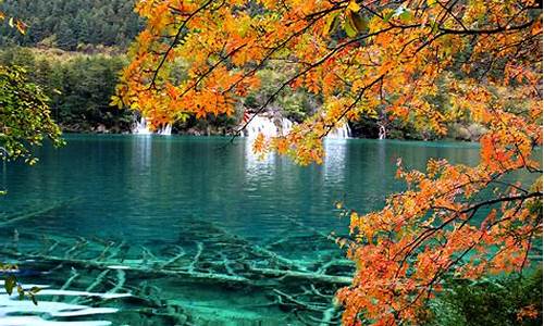 大青沟旅游景点介绍_旅游景点介绍